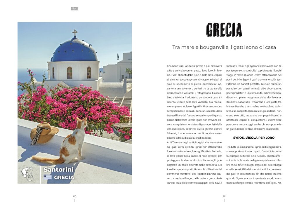 In Grecia i gatti sono di casa: Atlante Gattaro esplora l'anima felina dell'isola di Santorini