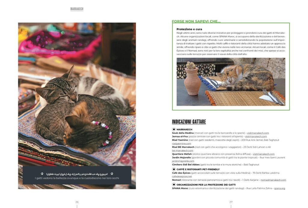 Nell'Atlante Gattaro si possono trovare le indicazioni gattare di vari luoghi, tra cui Marrakech