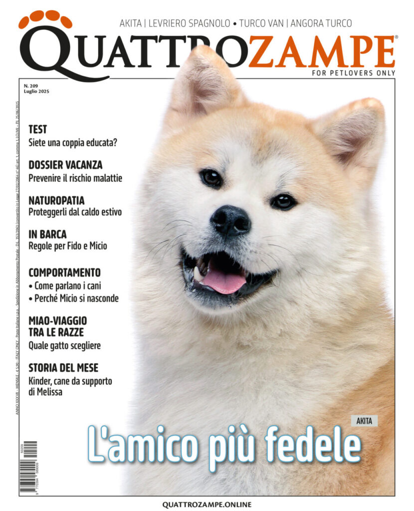 È in edicola il numero di luglio 2025 di Quattrozampe