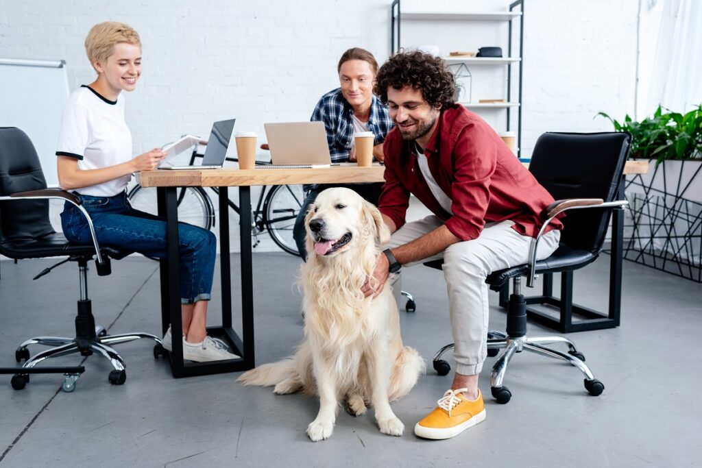 Tre dipendenti in un ufficio lavorano sereni al computer mentre il cane di uno di loro li guarda seduto tranquillamente per terra