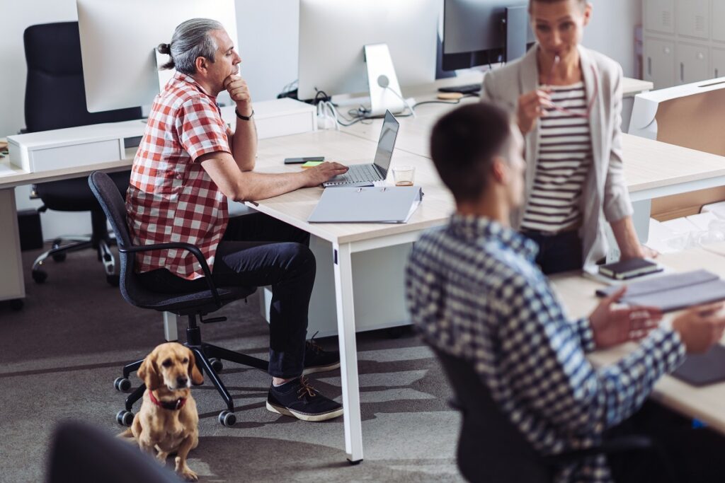 Tre dipendenti lavorano in un ufficio mentre un cane li osserva seduto a terra