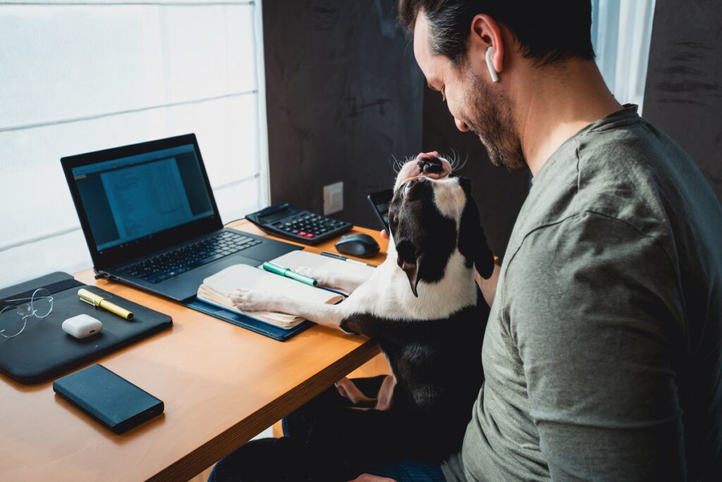 Un uomo lavora al computer  con il suo cane seduto sulle gambe