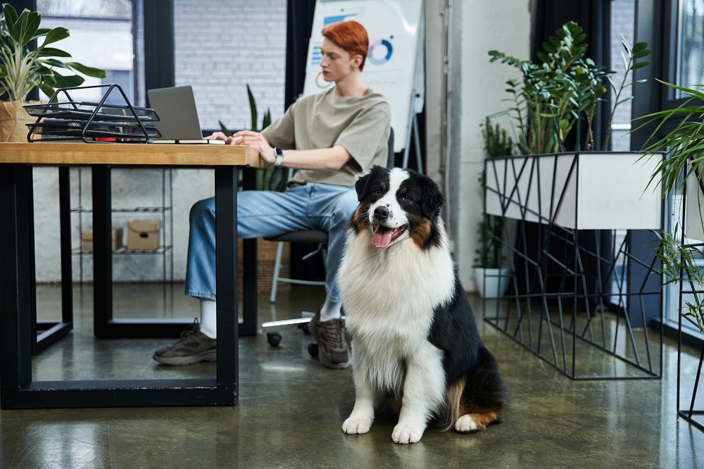 Giornata del cane in ufficio: ragazzo lavora al computer mentre il cane lo osserva seduto accanto alla scrivania