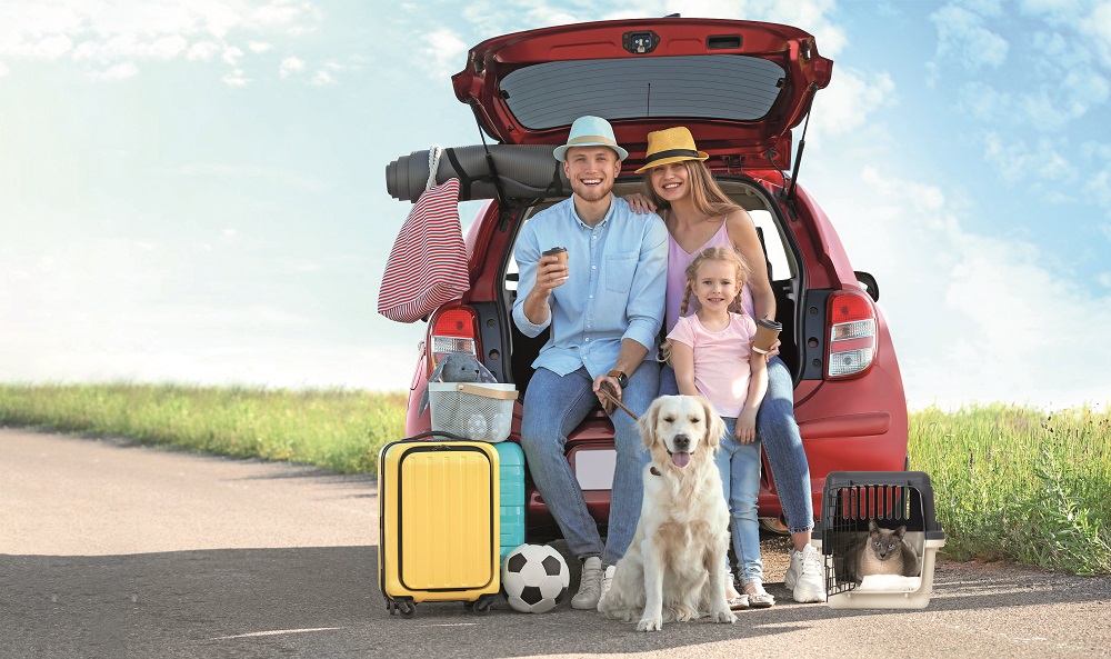 Una famiglia in viaggio in auto con cane e gatto