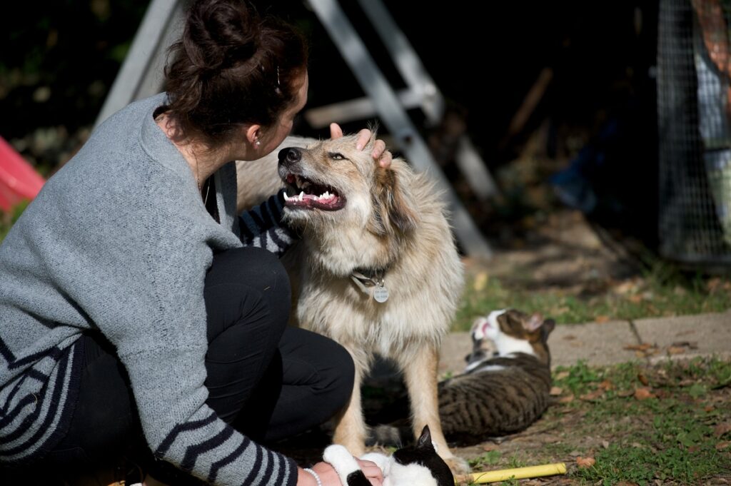 Una donna con un cane e un gatto all'aperto