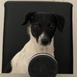 Carica e Vota - Settembre 2025