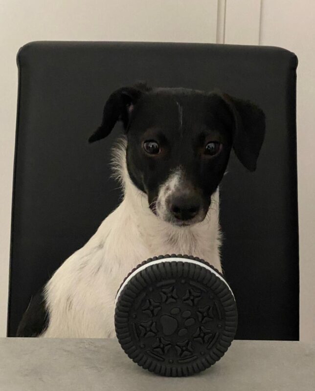 Carica e Vota - Settembre 2025