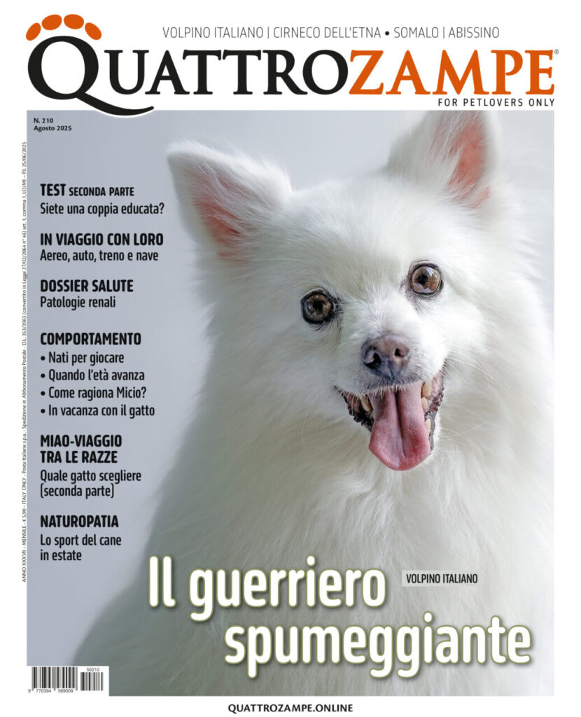 È in edicola il numero di agosto 2025 di Quattrozampe