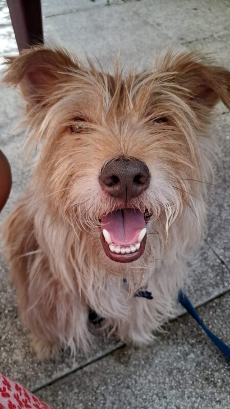 Carica e Vota - Settembre 2025