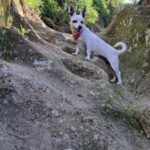 Carica e Vota - Settembre 2025