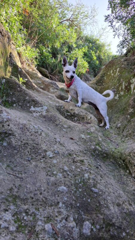 Carica e Vota - Settembre 2025