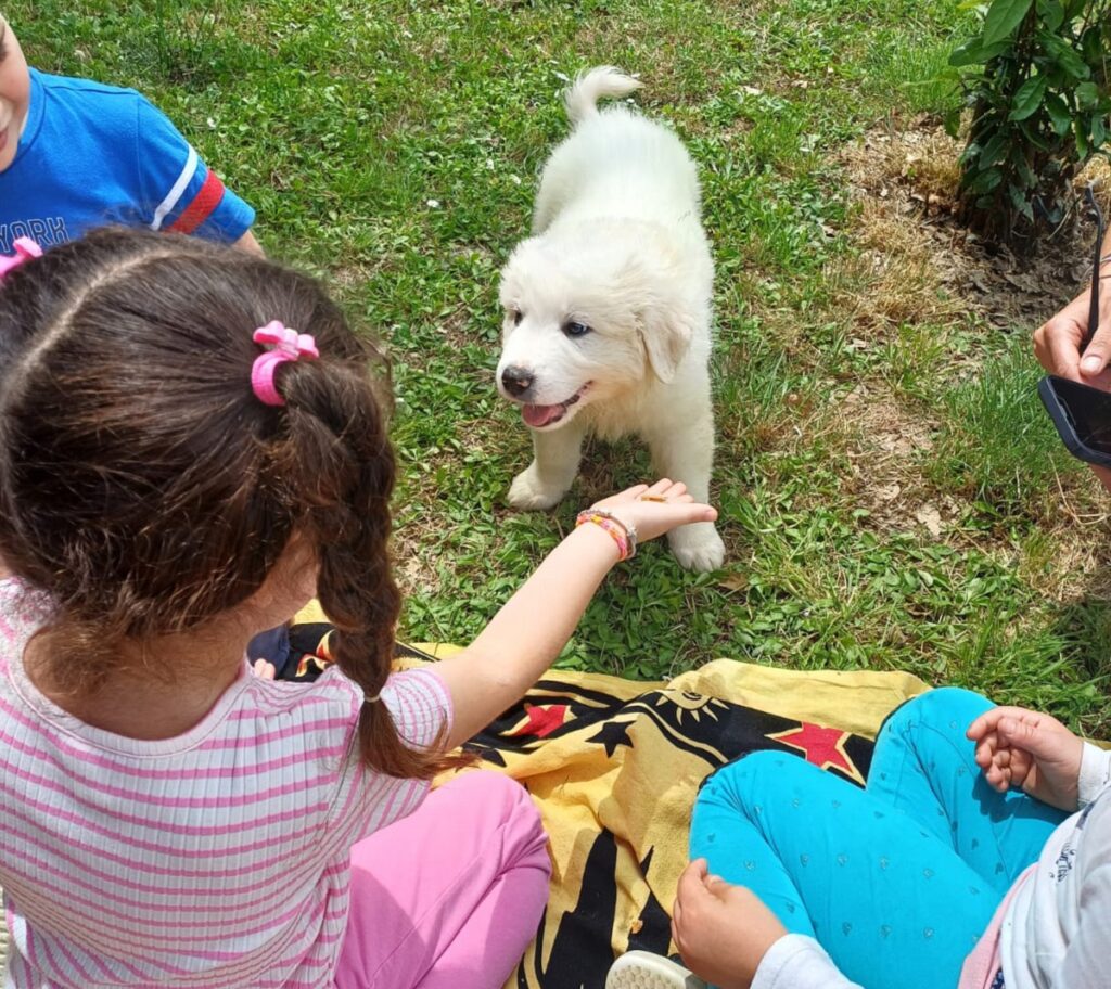 Alcuni bambini seduti sull'erba accarezzano un cane ospite del Parco canile di Lajatico