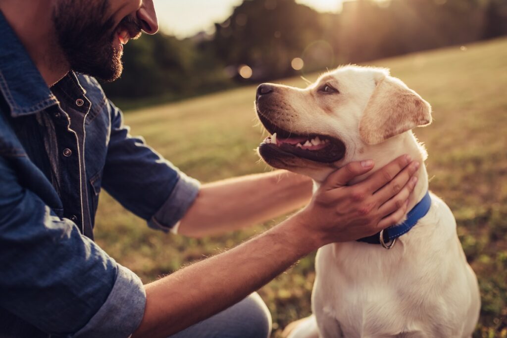 Un uomo abbraccia il suo cane seduto su un prato