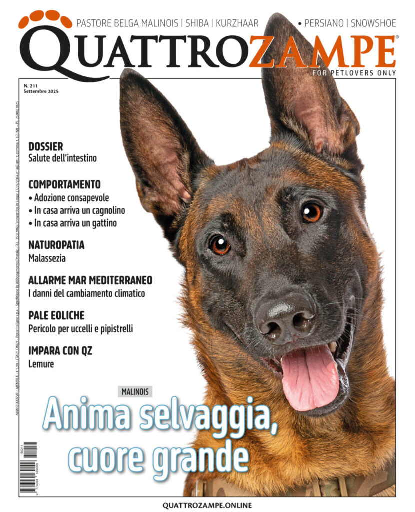 Copertina Cartacea Quattrozampe