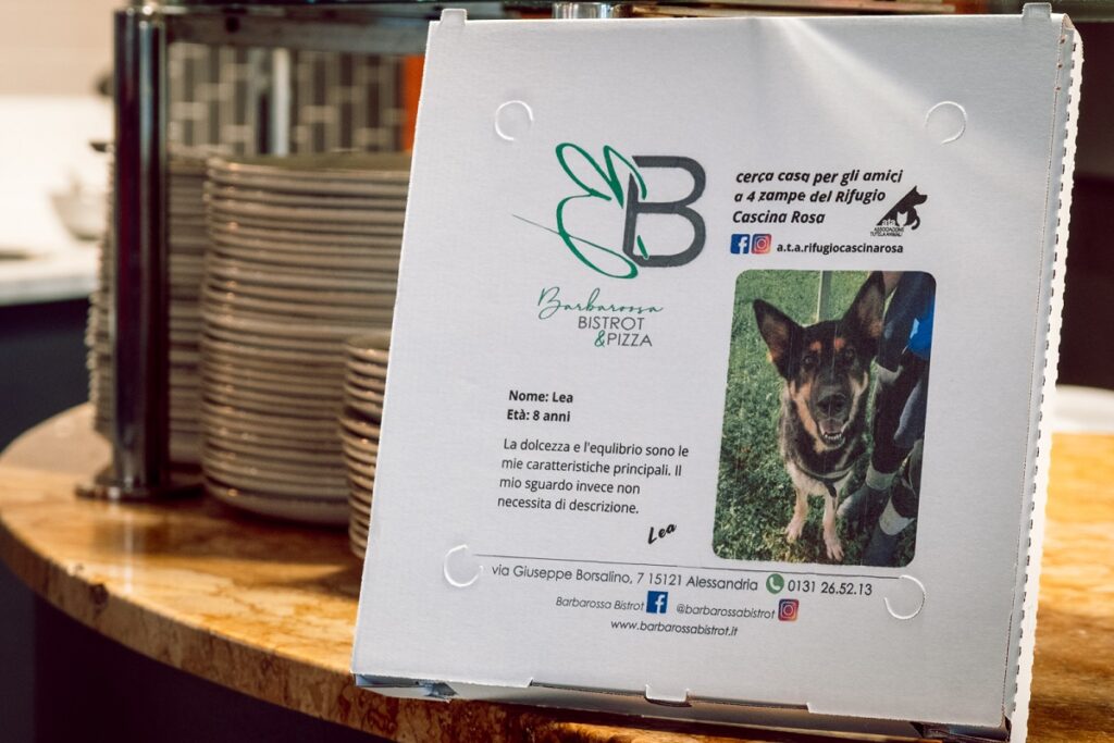 Un cartone della pizza su cui è stampata la foto e la storia di un cane in attesa di adozione