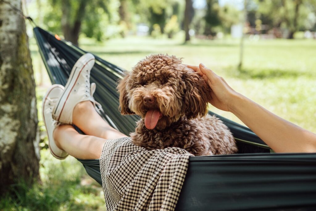 Un cane si riposa con la sua proprietaria su un'amaca