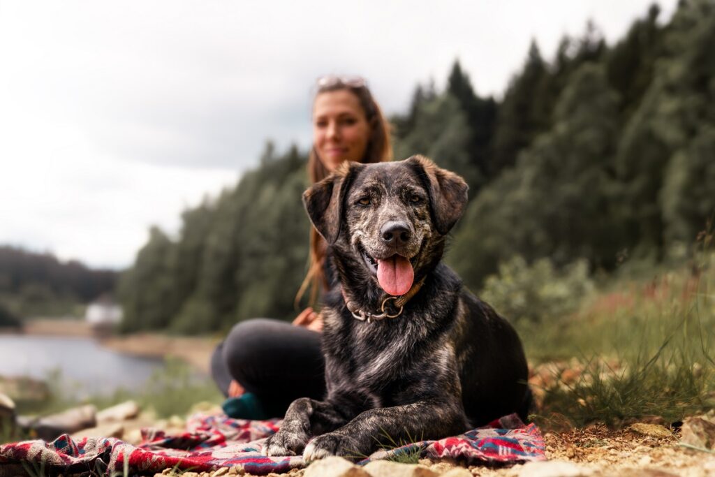 Un cane e la sua proprietaria in montagna si godono un momento di relax