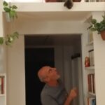 Carica e Vota - Novembre 2025