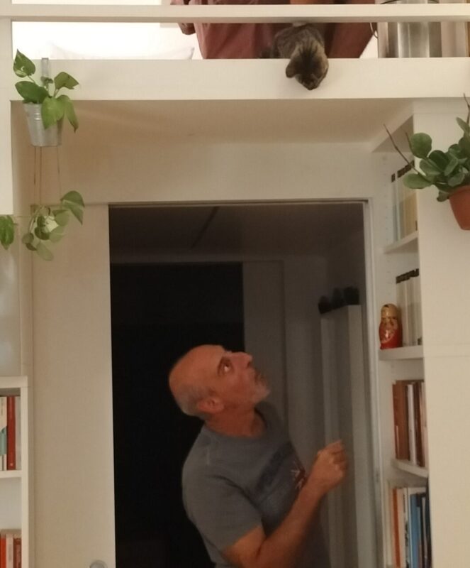 Carica e Vota - Novembre 2025