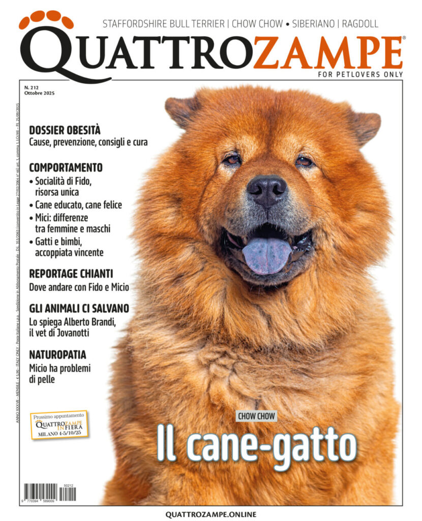 È in edicola il numero di ottobre 2025 di Quattrozampe
