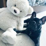 Carica e Vota - Dicembre 2025