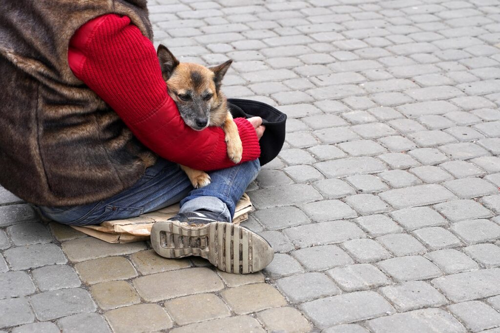 Un senzatetto con il suo cane: anche per loro iniziative solidali per offrire cure gratis per i pet
