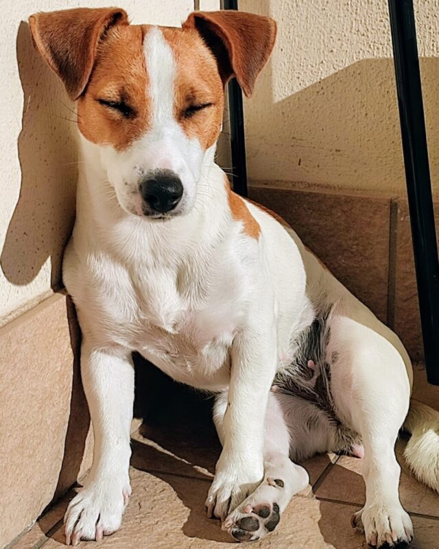 Carica e Vota - Dicembre 2025