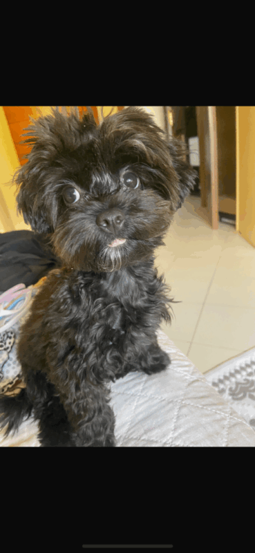 Carica e Vota - Dicembre 2025