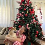 Carica e Vota - Dicembre 2025