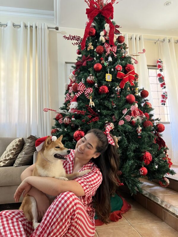 Carica e Vota - Dicembre 2025