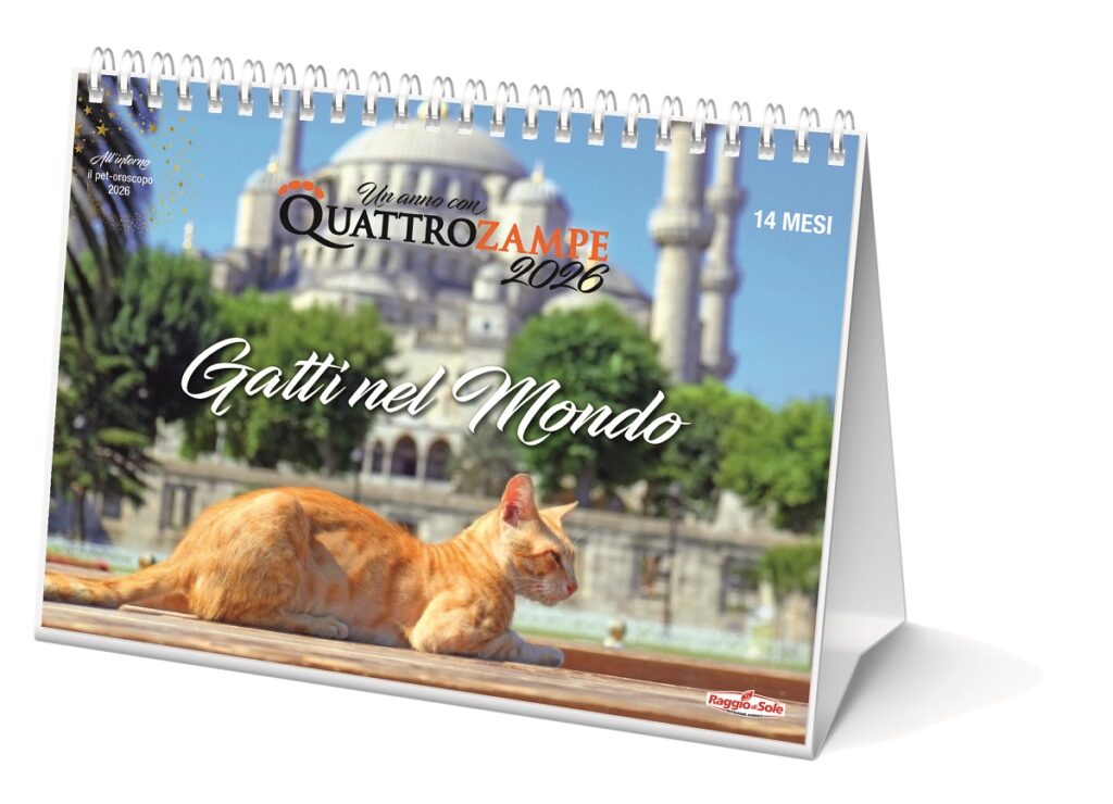 Il nuovo calendario da tavolo 2026 Gatti nel mondo di Quattrozampe