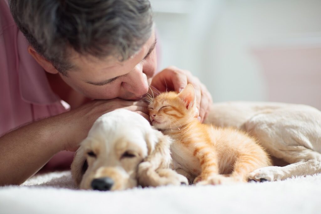 Un cane e un gatto dormono felici mentre il loro proprietario li accarezza