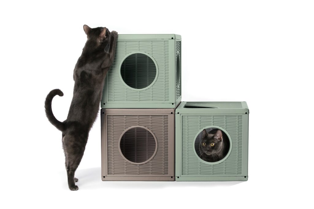 Un gatto nero si arrampica sulla cuccia-gioco 