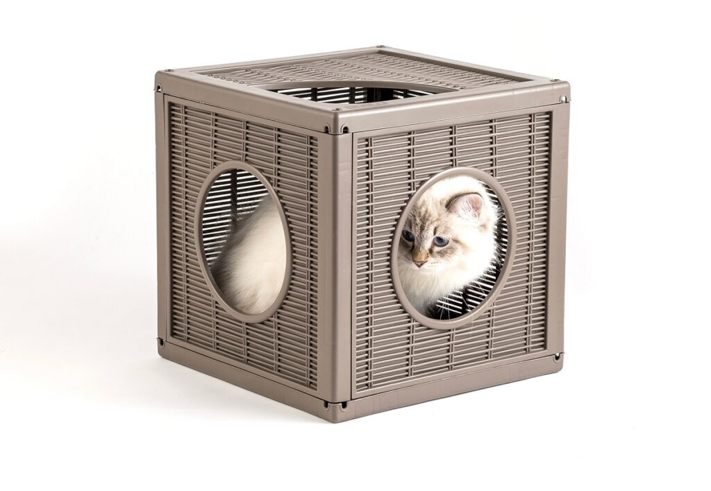 Un gatto si nasconde dentro una cuccia-gioco