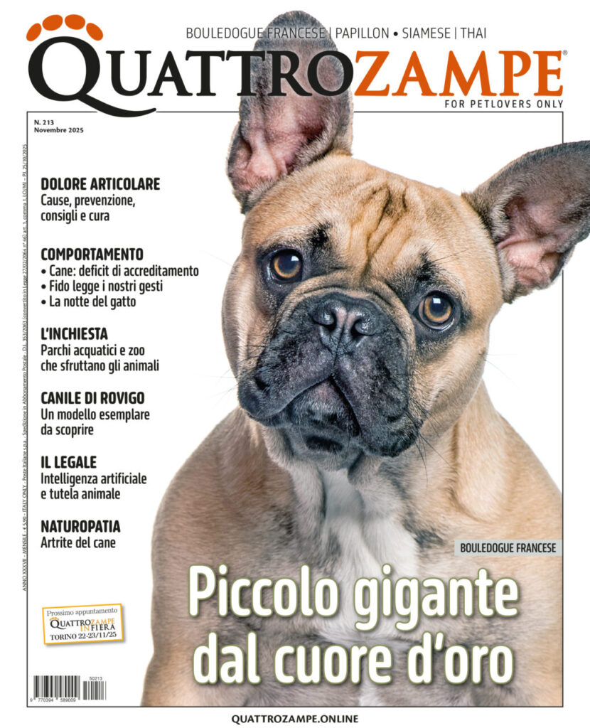 È in edicola il numero di novembre 2025 di Quattrozampe