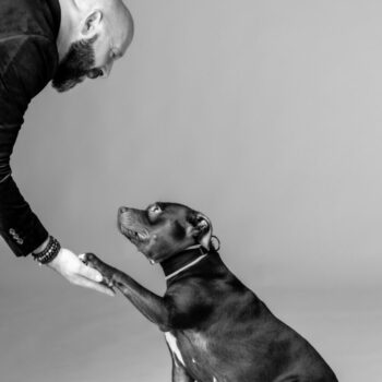 Carica e Vota - Dicembre 2025