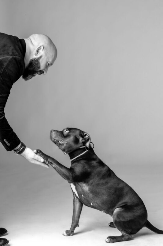 Carica e Vota - Dicembre 2025