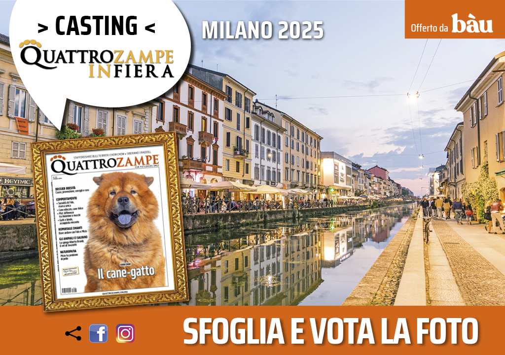 Concorso Fotografico - QuattroZampe in Fiera - Milano - Ottobre 2025