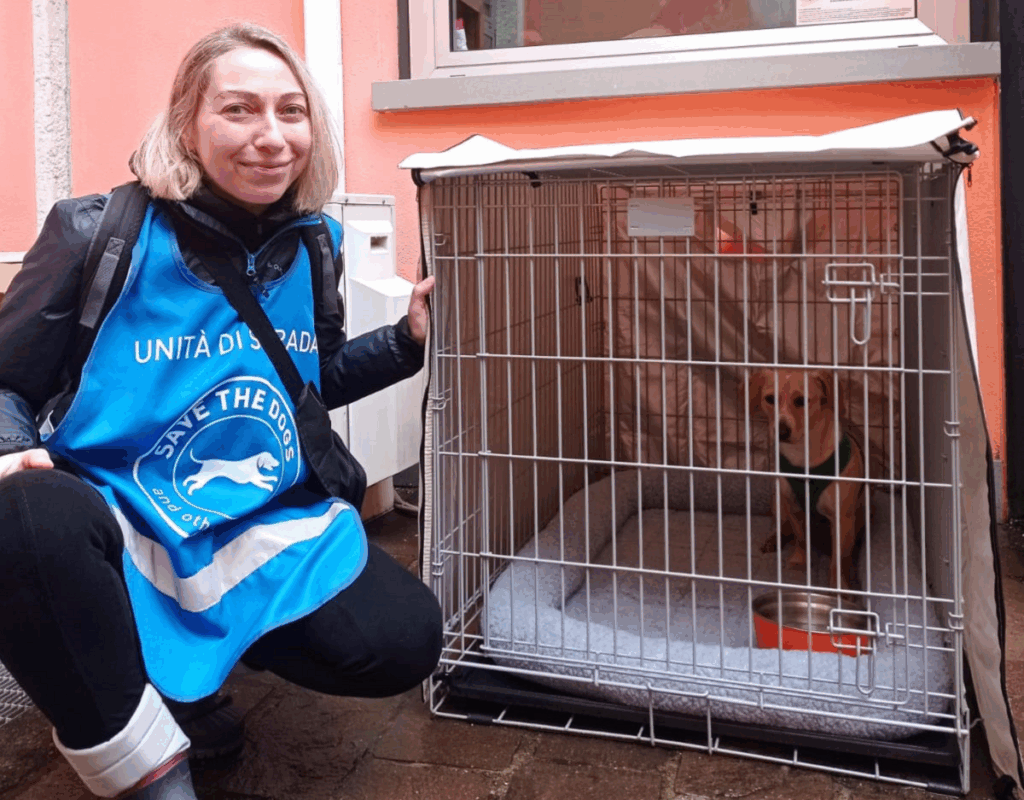 Un cane aspetta dentro la gabbia il suo proprietario e una volontaria lo accudisce: la cuccia solidale a Milano è un'iniziativa che offre cure gratis per i pet dei senzatetto