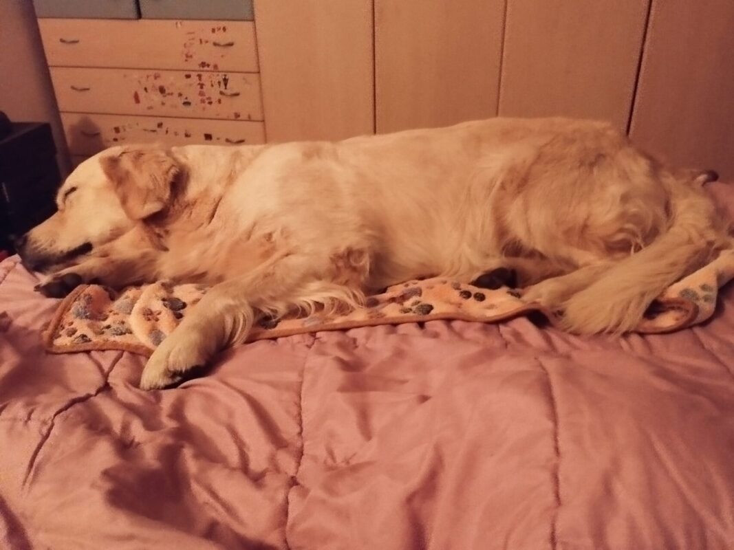 Carica e Vota - Febbraio 2026