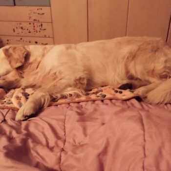 Carica e Vota - Febbraio 2026