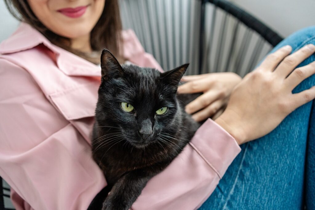 La Giornata del gatto nero contro le superstizioni