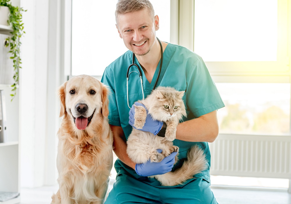 Un veterinario con un cane e un gatto in una clinica: un gruppo di deputati ha presentato un disegno di legge per istituire il Servizio sanitario veterinario