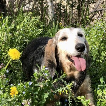 Carica e Vota - Febbraio 2026