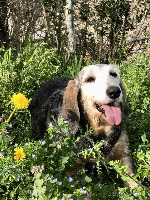 Carica e Vota - Febbraio 2026