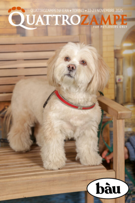 Concorso Fotografico - QuattroZampe in Fiera - Torino - Novembre 2025