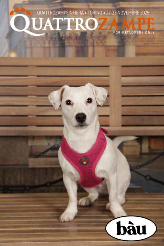 Concorso Fotografico - QuattroZampe in Fiera - Torino - Novembre 2025