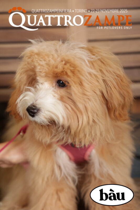 Concorso Fotografico - QuattroZampe in Fiera - Torino - Novembre 2025