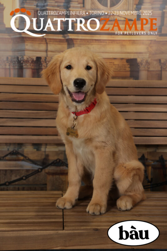 Concorso Fotografico - QuattroZampe in Fiera - Torino - Novembre 2025
