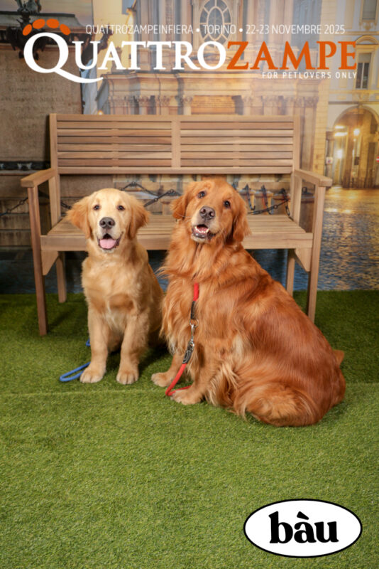 Concorso Fotografico - QuattroZampe in Fiera - Torino - Novembre 2025